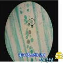 [생물학]생식세포분열 관찰