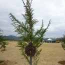 대구곰두리봉사협의회 이미지