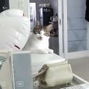 갤러리안경 초읍점 | 8月 일상