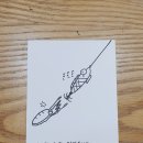 삼봉카 | [26.03.19~21] 제주 심해 갑오징어 체포작전 - 2일차