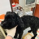 연수주공7단지 이미지