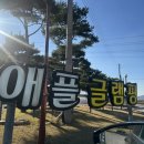 애플글램핑 이미지