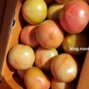 아영농장 이미지