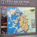 무안식자재