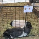 작은동물원 이미지