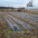 순동농장 이미지