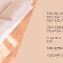 베니시모.레드플래닛