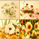 11)04. 莊子장자 外篇외편 第11篇 在宥(재유)(第04章)/K-팝,장어,해커,반사이익,조지아,이민자,구금사태,종전안,진퇴양난,엔비디 이미지