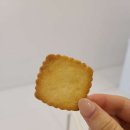 로뎀 에스테틱 이미지