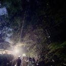 2025 부산 기장 반딧불이 생태체험 학습행사 아이랑 장안사 가족 체험 후기