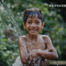 세실리아요양원 네이버블로그