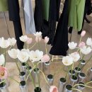 개미노래연습장 이미지