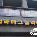 코코로 티스토리