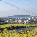 여전히 제주 이미지