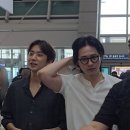 고고씽 이미지