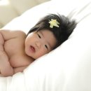 라임헤어까페 이미지