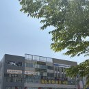 천안 청당동 비대칭 심한 얼굴 증명사진 잘 찍는 사진관 레드셔터 후기