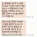 모이드헤어 이미지