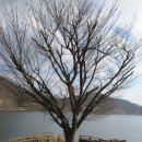 청도성수월마을 이미지