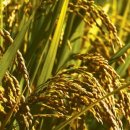 눈이야기 이미지