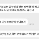 떡세상 이미지