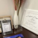 피자스쿨 부산화명점 | 화명동속눈썹펌 래쉬부티크는 속눈썹맛집!