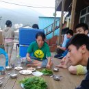 솔방울 펜션 Daum카페