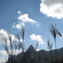 청웅초등학교 이미지