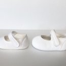 블루베리슈즈