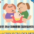 퍼피 켄넬 이미지