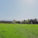 미소플레이스 이미지