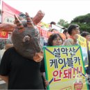 시민카 이미지