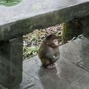 유영세탁소 | 유영하며 둥둥 🦦