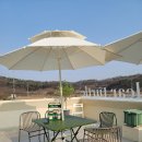 마을애견 이미지