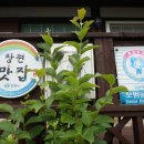 개성순대 이미지