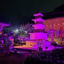 29 | 2025 양산통도사 미디어아트(10.3.~29.) 관람 후기