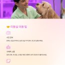 그루머로 이미지