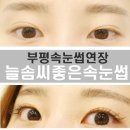 늘솜씨좋은속눈썹