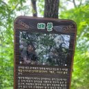 월산사 | 백월산[금북정맥] 등산코스이야기