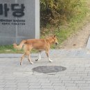 서울대-관악-학생지원과