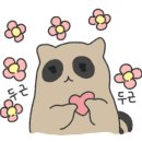 예가안경 이미지