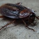 참 글로벌 이미지