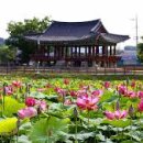 정읍세무서 이미지