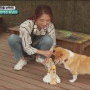 놀자