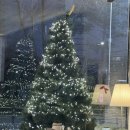 달나라 토끼 이미지