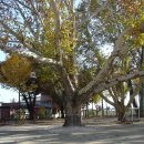 임고초교 이미지