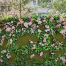 중계온마을센터 이미지