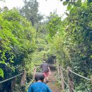 저지오름주차장 이미지