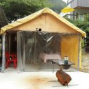 고은펜션 이미지