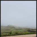 초원마트 | [일본 소도시 구마모토 2편] 쿠사센리 초원과 아소산 그리고 우토의 밤(한일교류)